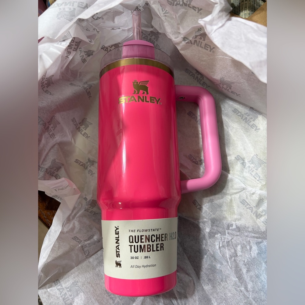 💖🌴 Stanley Quencher H2.0 30oz – Pink Paradise – Hard to Find